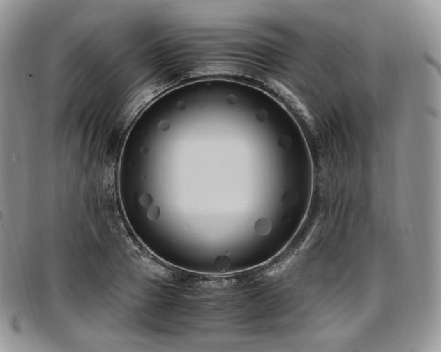 X0000097640937200802291401