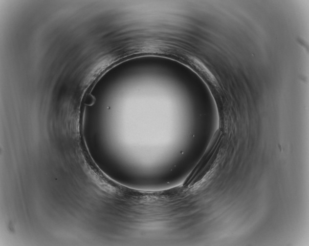 X0000097640938200802291401