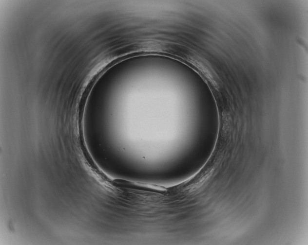 X0000097640939200802291401