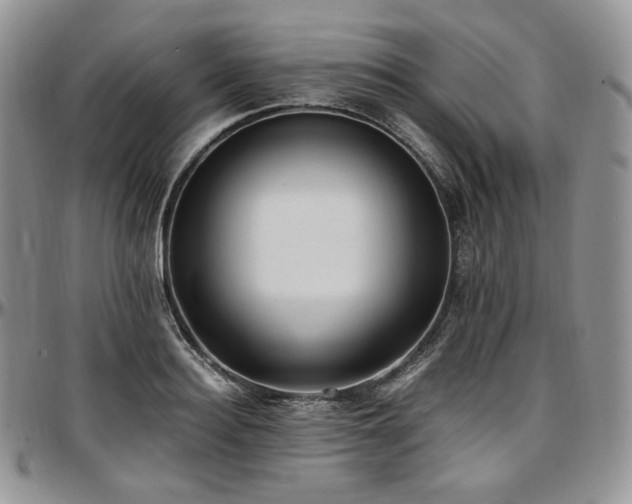 X0000097640940200802291401