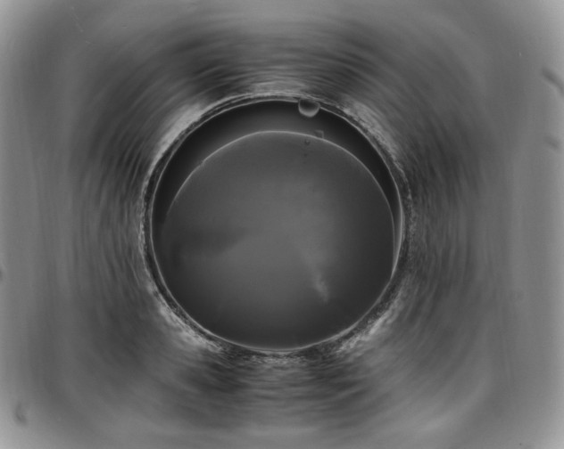 X0000097640941200802291401