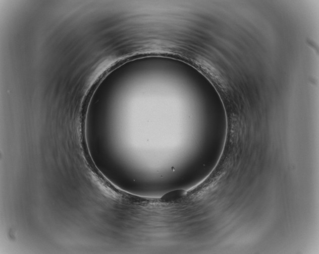 X0000097640942200802291401