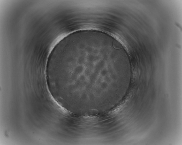 X0000097640943200802291401