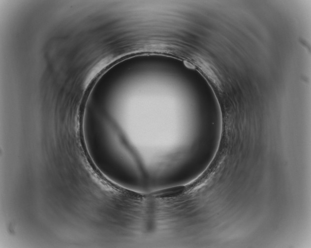 X0000097640944200802291401