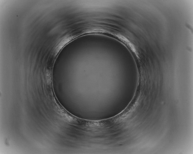 X0000097640945200802291401