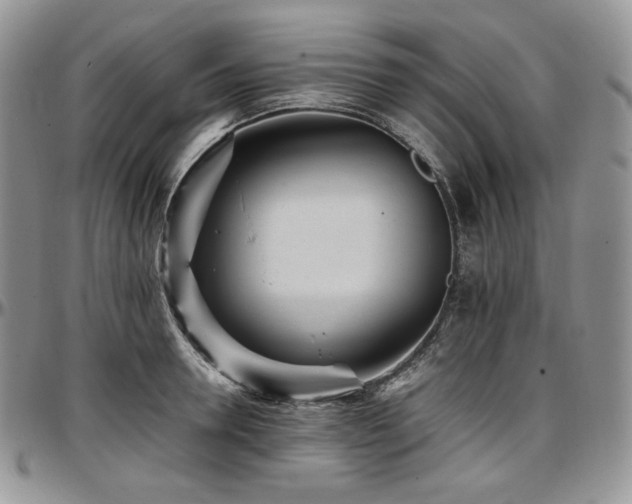 X0000097640946200802291401