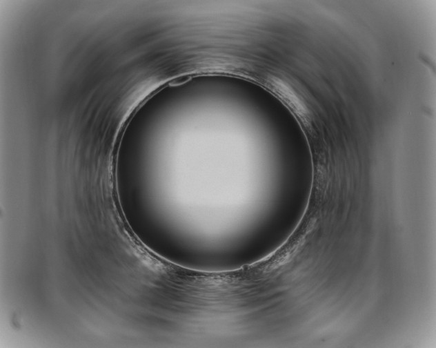 X0000097640948200802291401