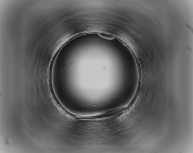X0000097640949200802291401