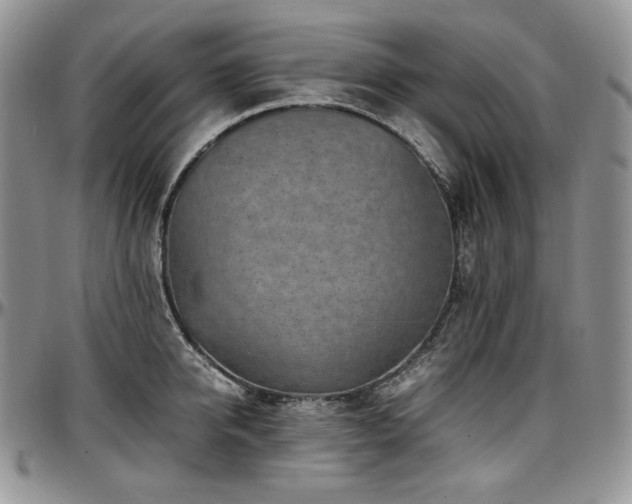 X0000097640950200802291401