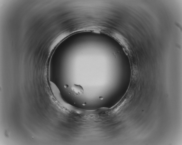 X0000097640952200802291401