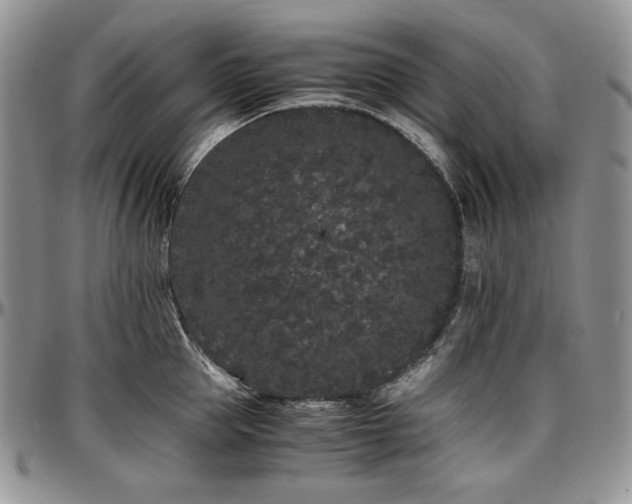 X0000097640953200802291401