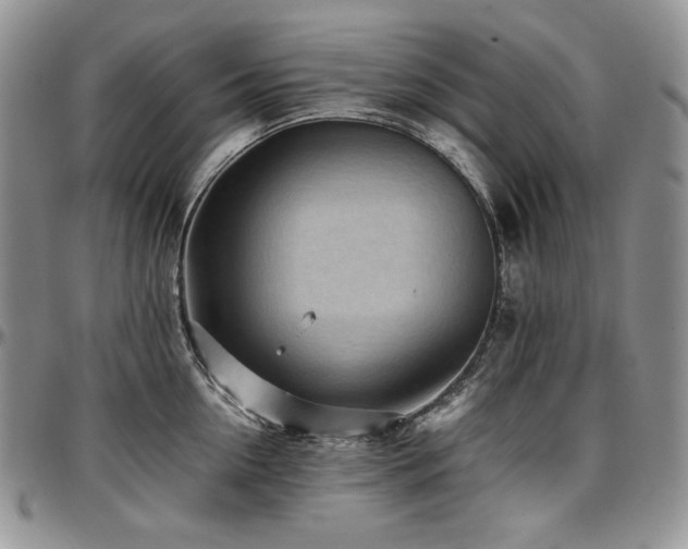 X0000097640954200802291401