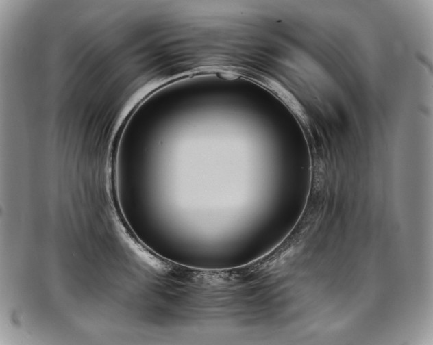 X0000097640955200802291401