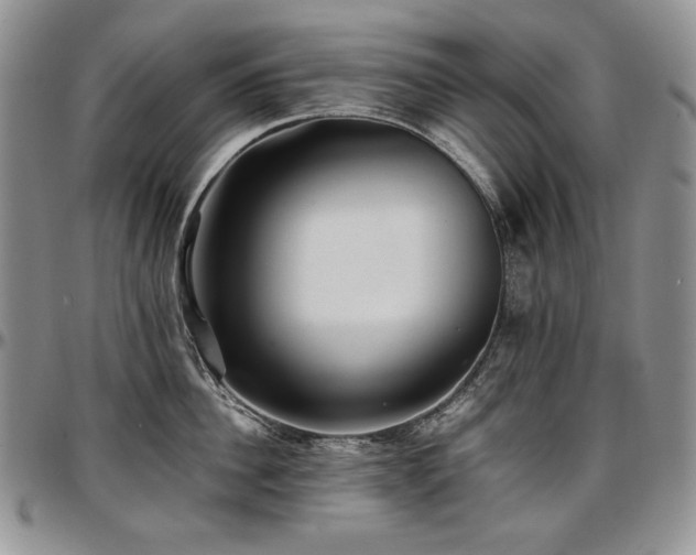 X0000097640956200802291401
