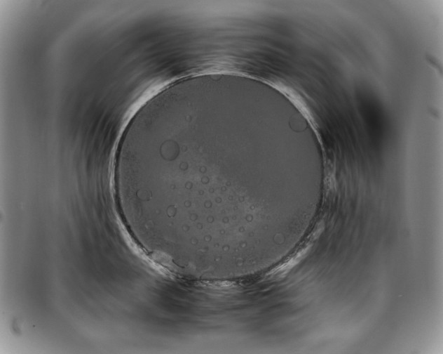 X0000097640957200802291401