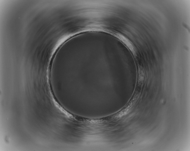 X0000097640958200802291401