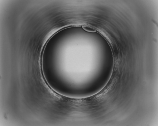 X0000097640959200802291401