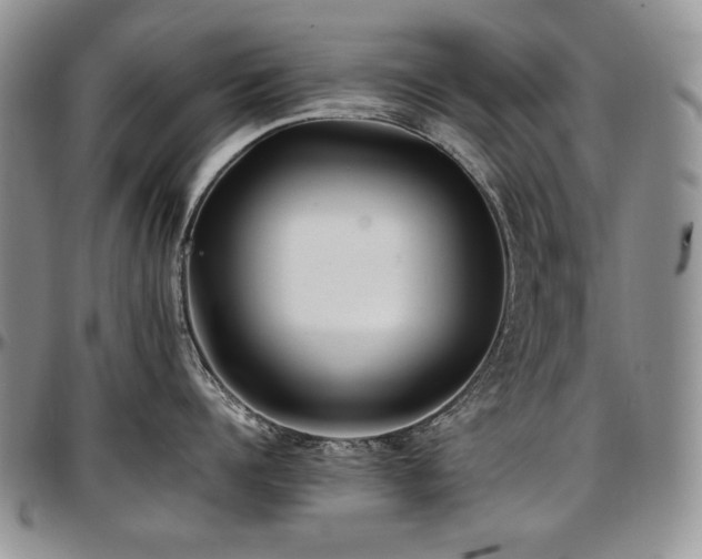 X0000097640960200802291401