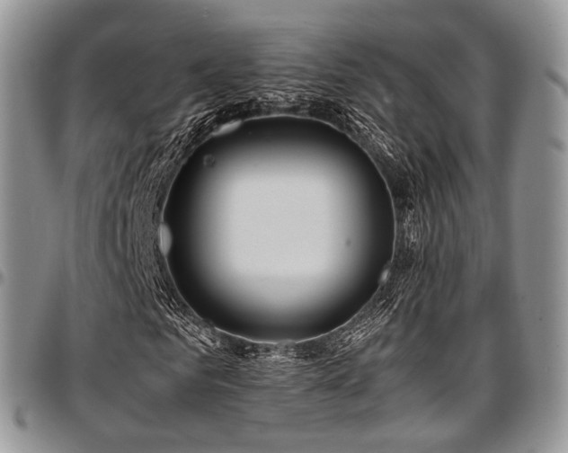 X0000097640961200802291401