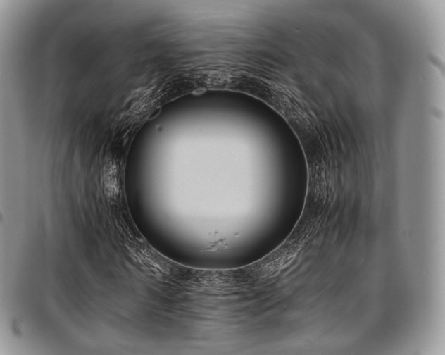 X0000097640962200802291401
