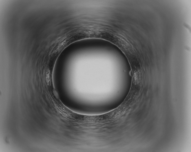 X0000097640963200802291400