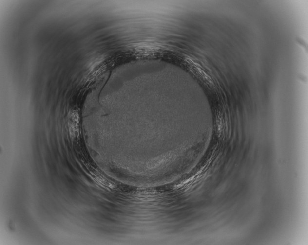X0000097640964200802291400