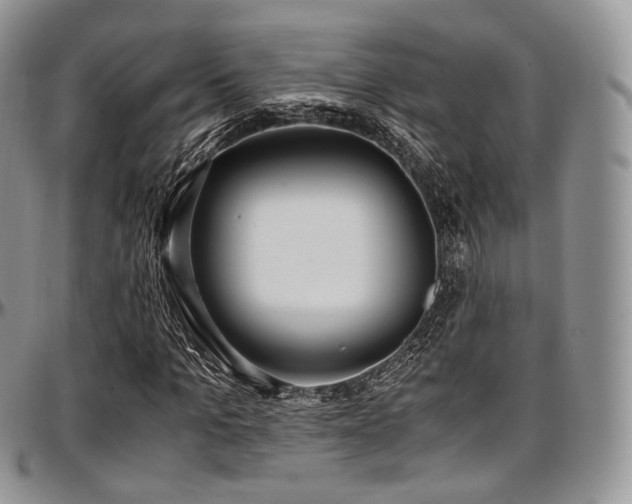 X0000097640965200802291400