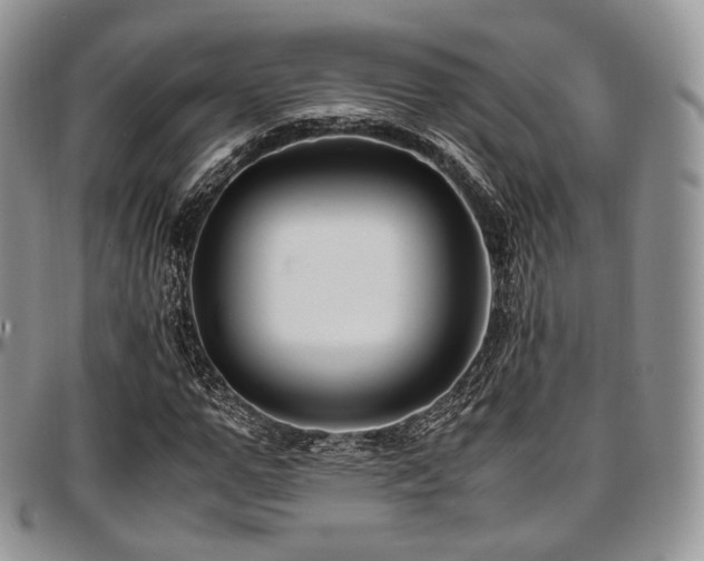 X0000097640967200802291400