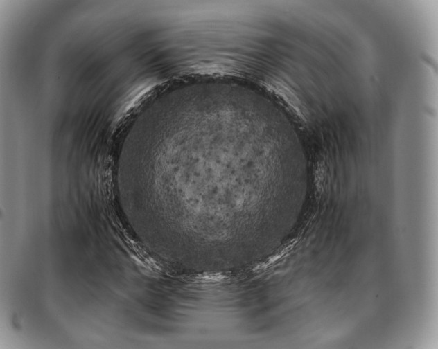 X0000097640968200802291400