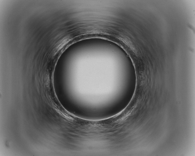 X0000097640969200802291400