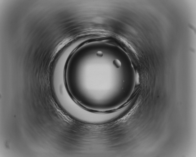 X0000097640970200802291400