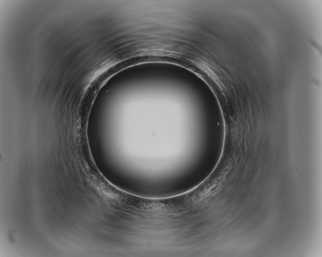 X0000097640971200802291400