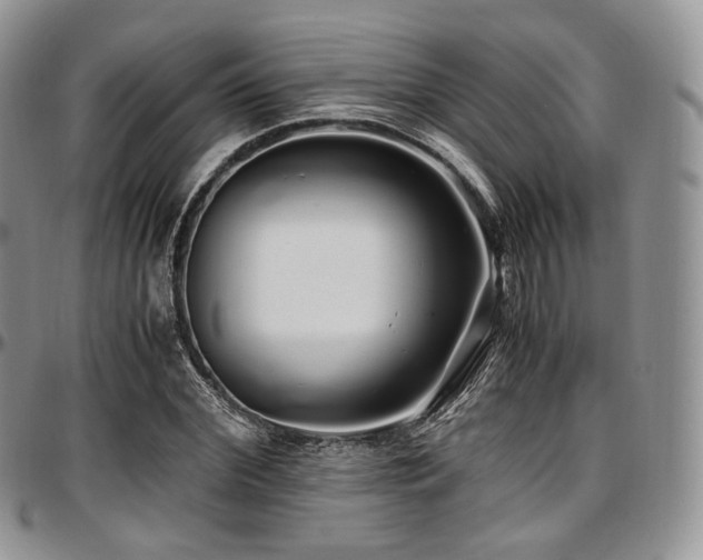 X0000097640972200802291400