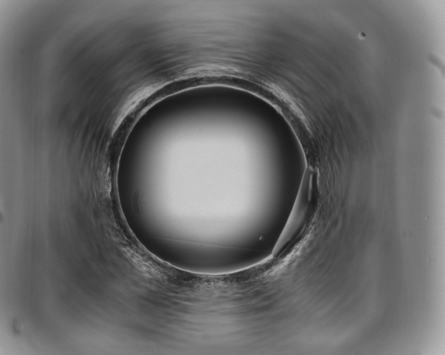 X0000097640973200802291400