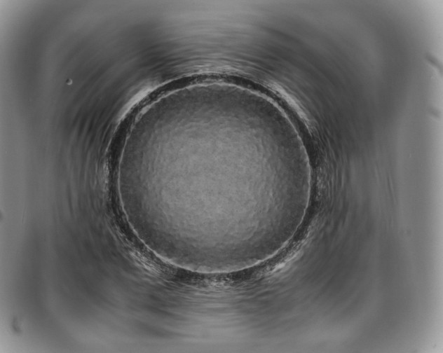 X0000097640975200802291400
