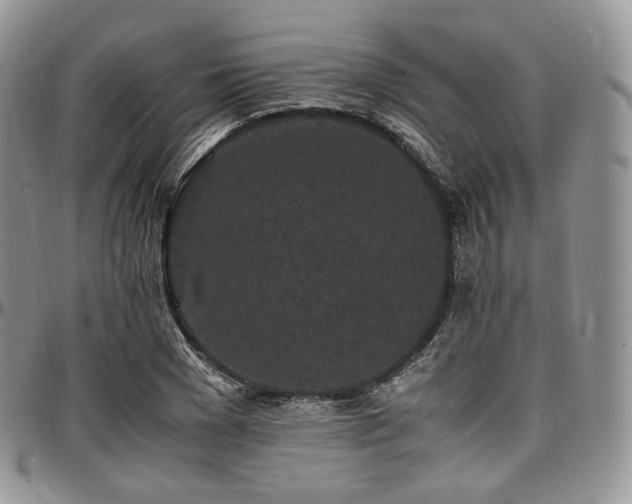 X0000097640977200802291400
