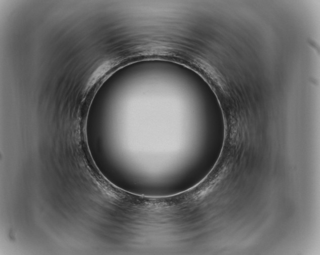 X0000097640978200802291400