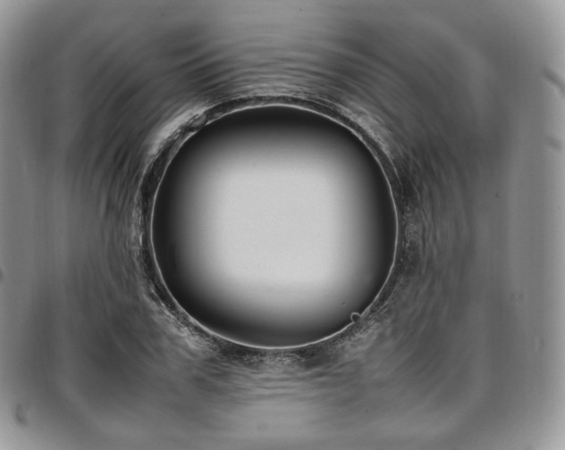 X0000097640979200802291400