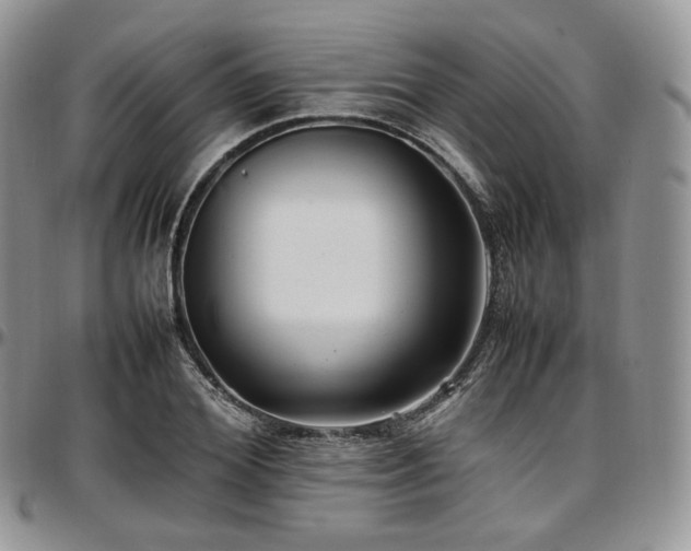 X0000097640980200802291400