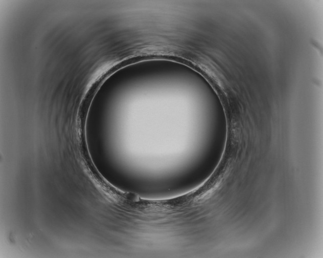 X0000097640981200802291400