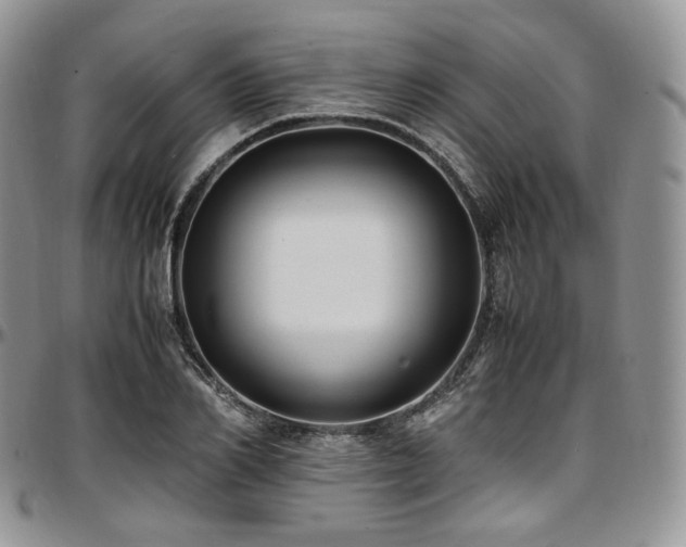X0000097640982200802291400