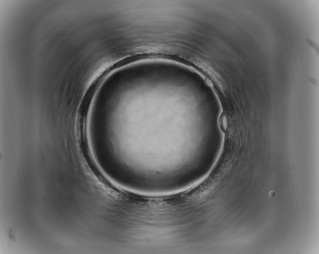 X0000097640983200802291400