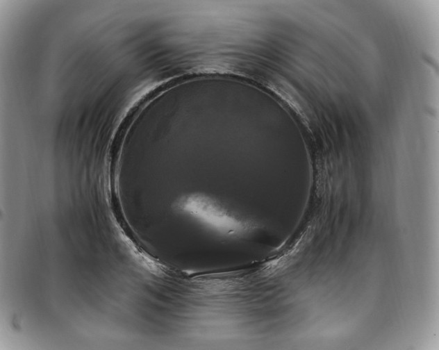 X0000097640984200802291400