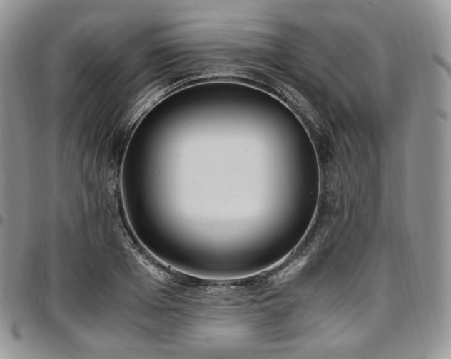 X0000097640985200802291400