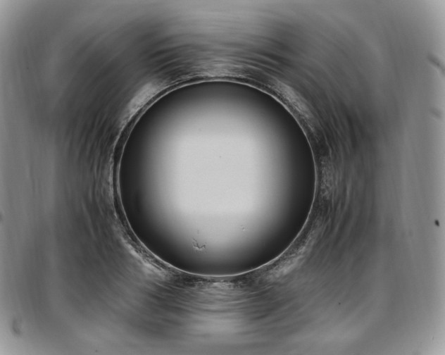 X0000097640986200802291400