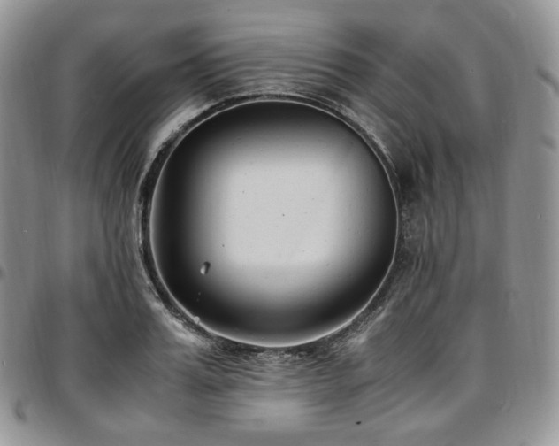 X0000097640987200802291400