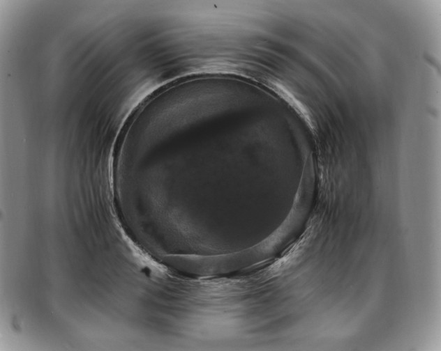 X0000097640988200802291400
