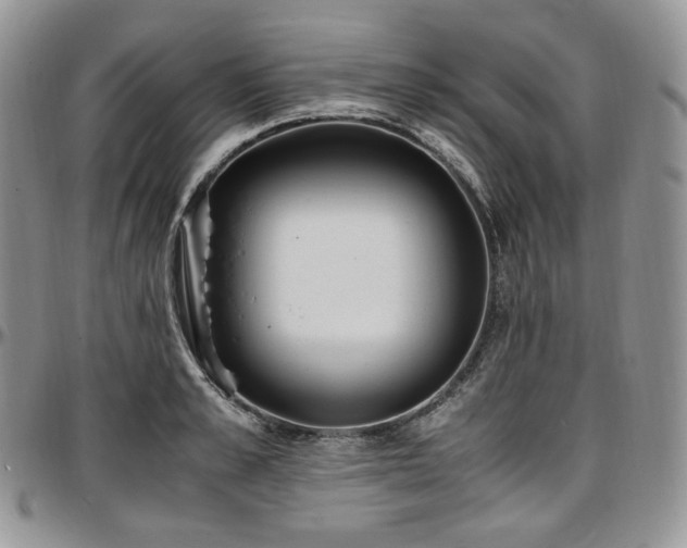 X0000097640989200802291400