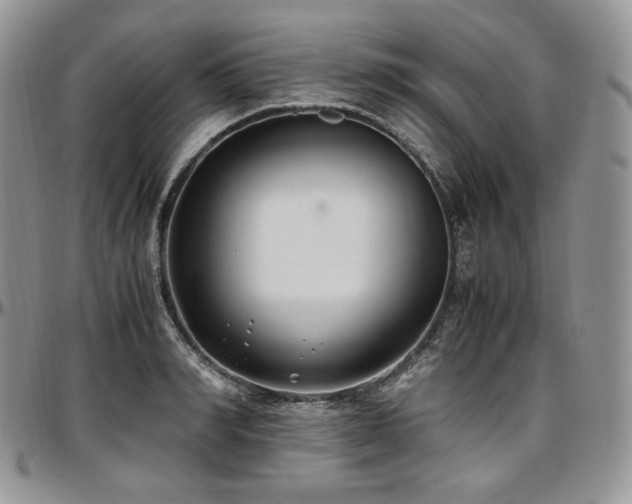 X0000097640990200802291400