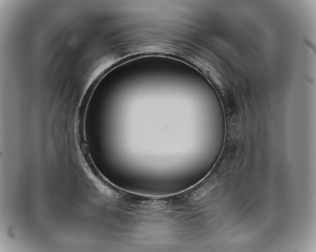 X0000097640991200802291400